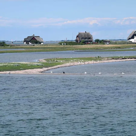 Ostsee - Reetdachhaus Nr 9 Emma Im Ferienhaus Heiligenhafen